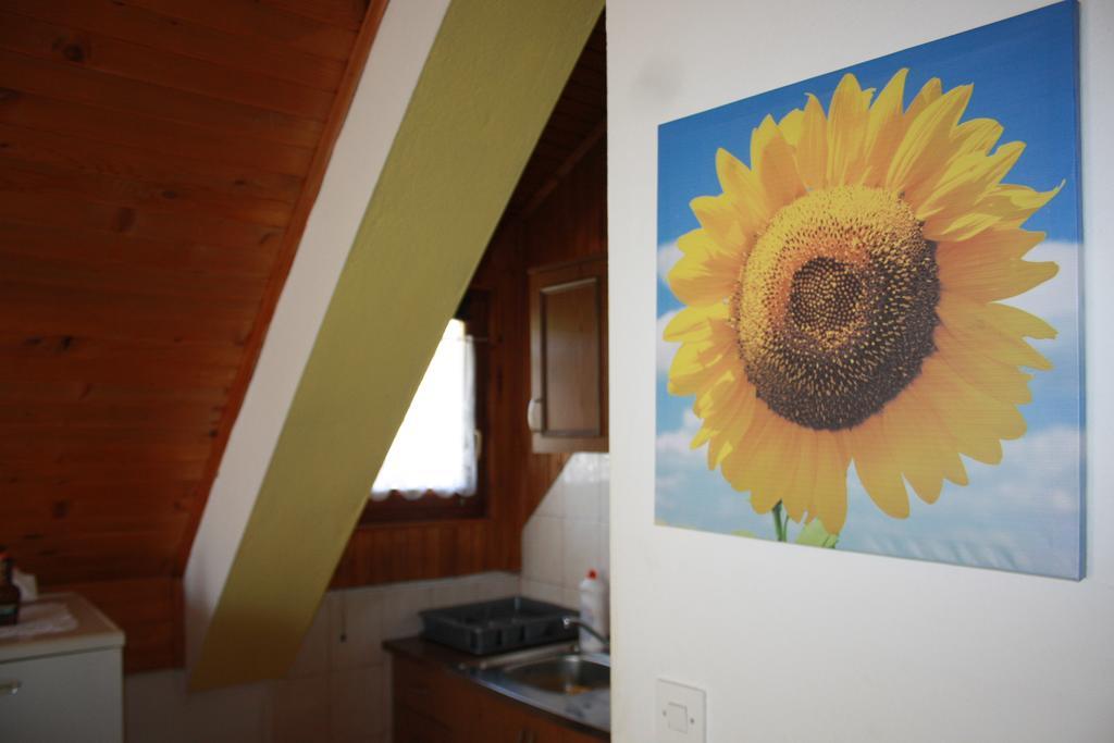 Vukovic Apartment Poljanak Zewnętrze zdjęcie